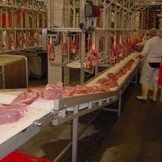 Zerlege-/ Verarbeitungstechnologien